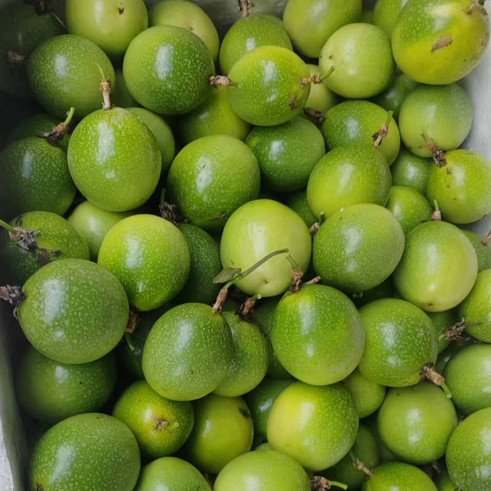 黄金百香果钦果9号新鲜香甜多汁果园直发