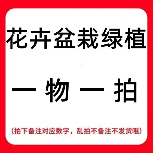 仙人掌科植物/直播间一物一拍（请勿私拍）