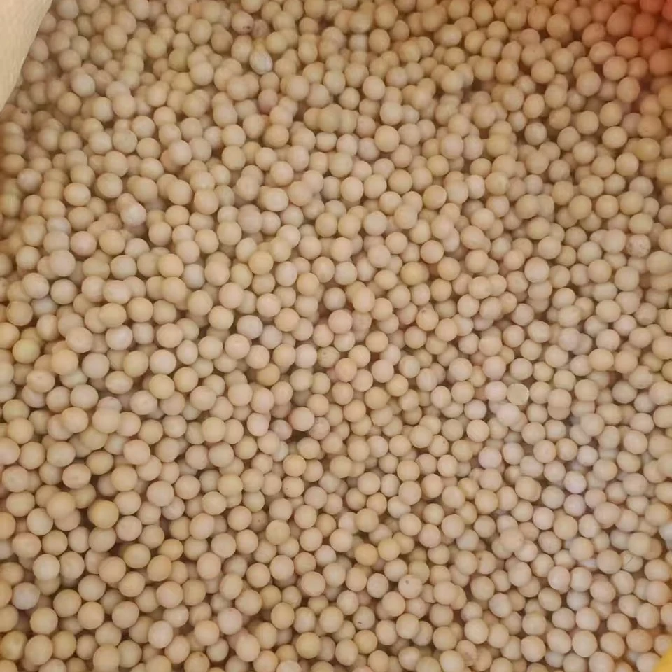 东北自产黄豆颗粒饱满籽粒金黄