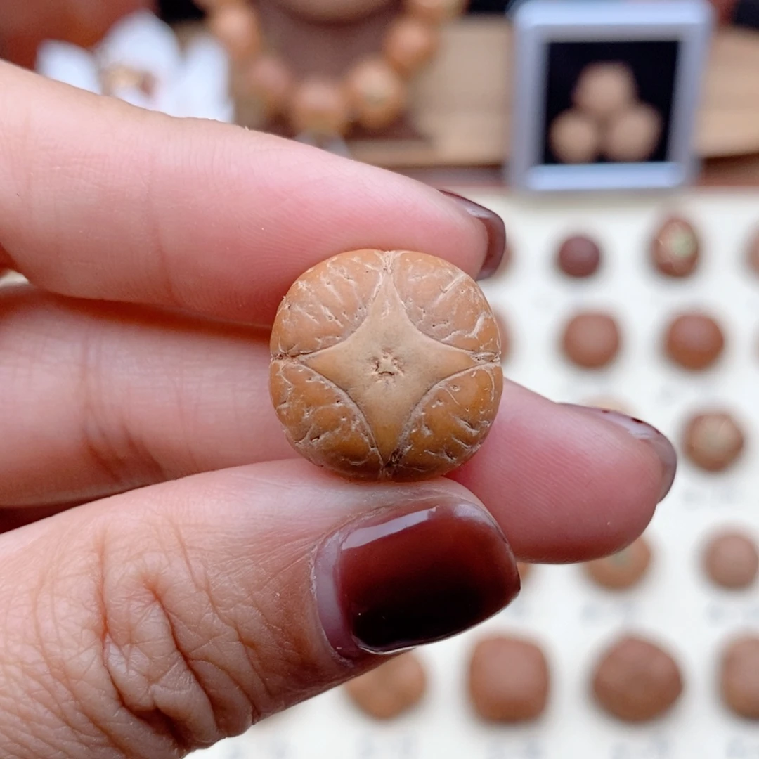 龙眼菩提吊坠麒麟