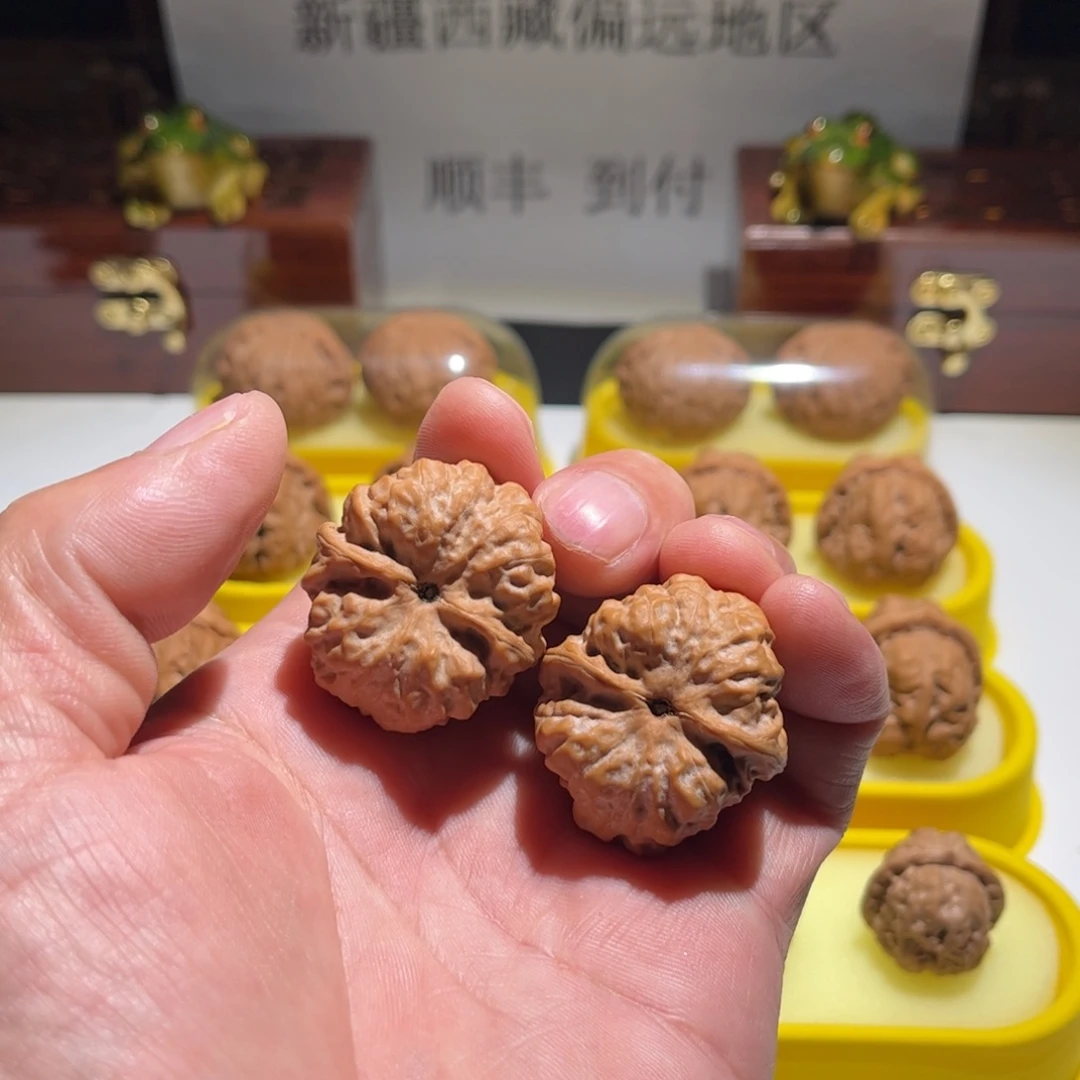 ༺***༻文玩核桃把件昌平娃直播中欢迎观看