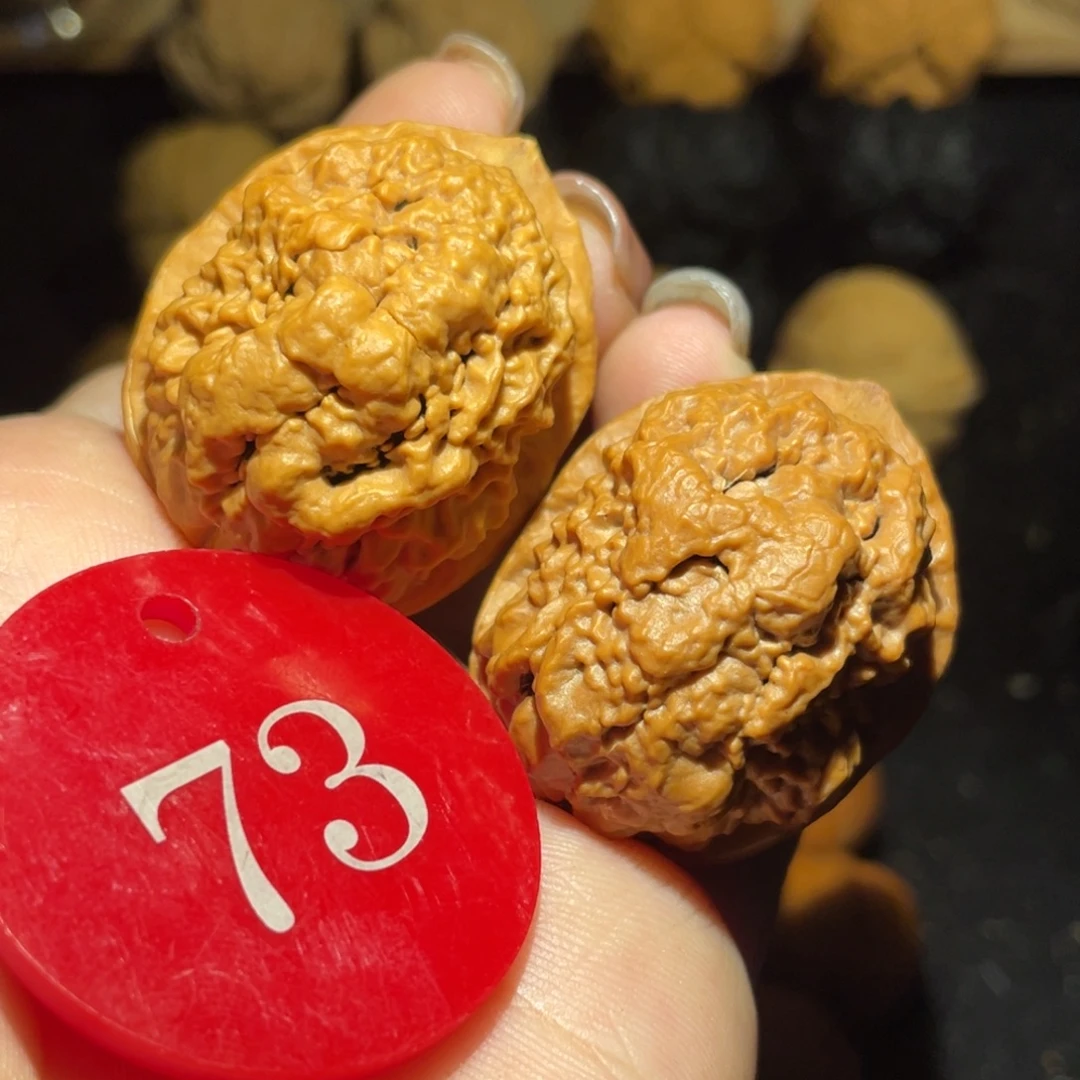 小百花36尺寸核桃