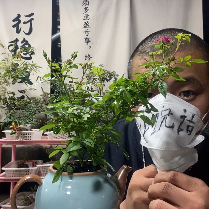 木****无花朵退款拉黑拉黑155
