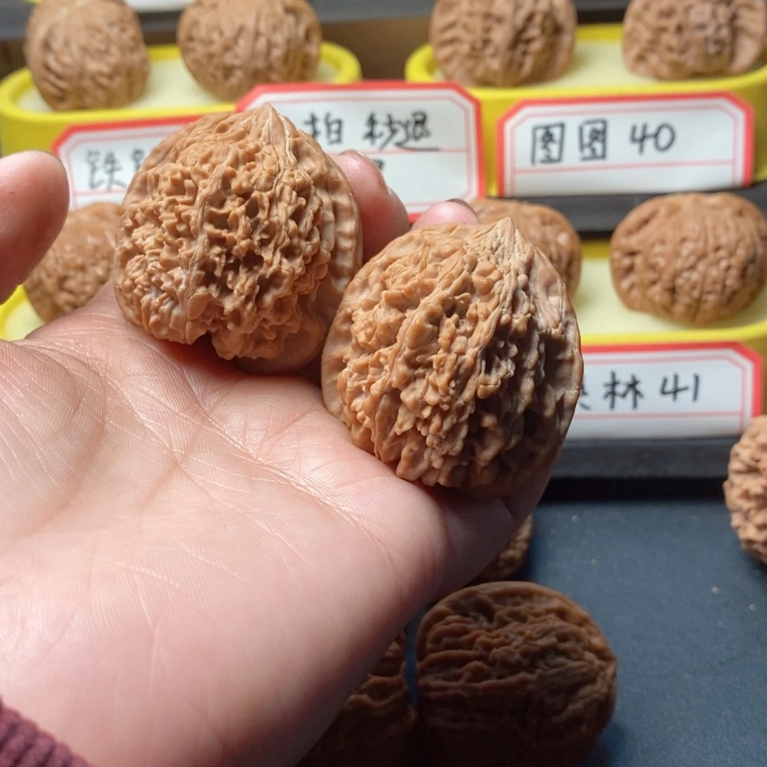 统***复全品无修满天星，42