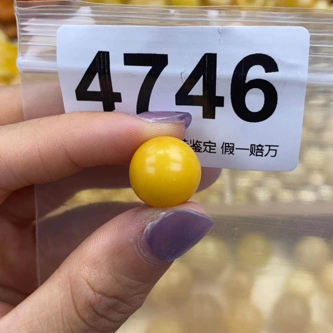未镶嵌蜜蜡珠宝奇石13.9