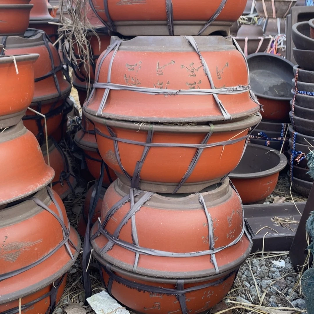 战***少紫砂一套红色一套黄色共六只