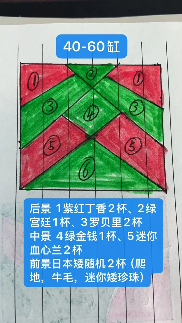 无菌杯无碳荷兰景布置图套餐水草鱼缸绿植造景景观沉木石头水草缸