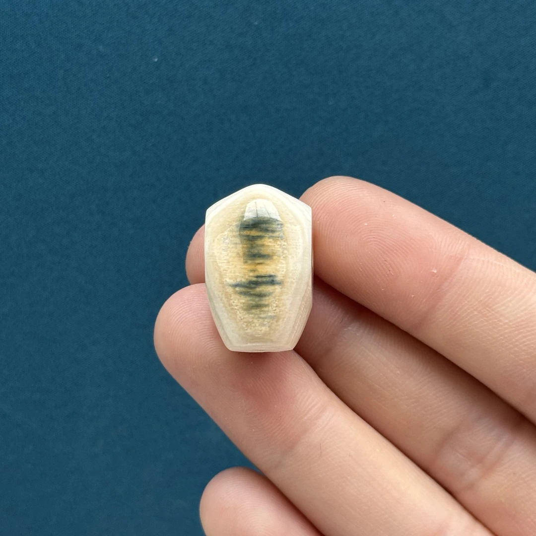 D4547天然猛犸象牙特色鲨鱼背三通13.9mm支持鉴定 假一罚四