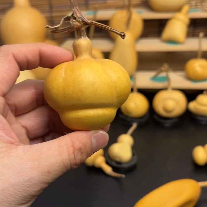 毛***哈葫芦葫芦葫芦葫芦葫芦