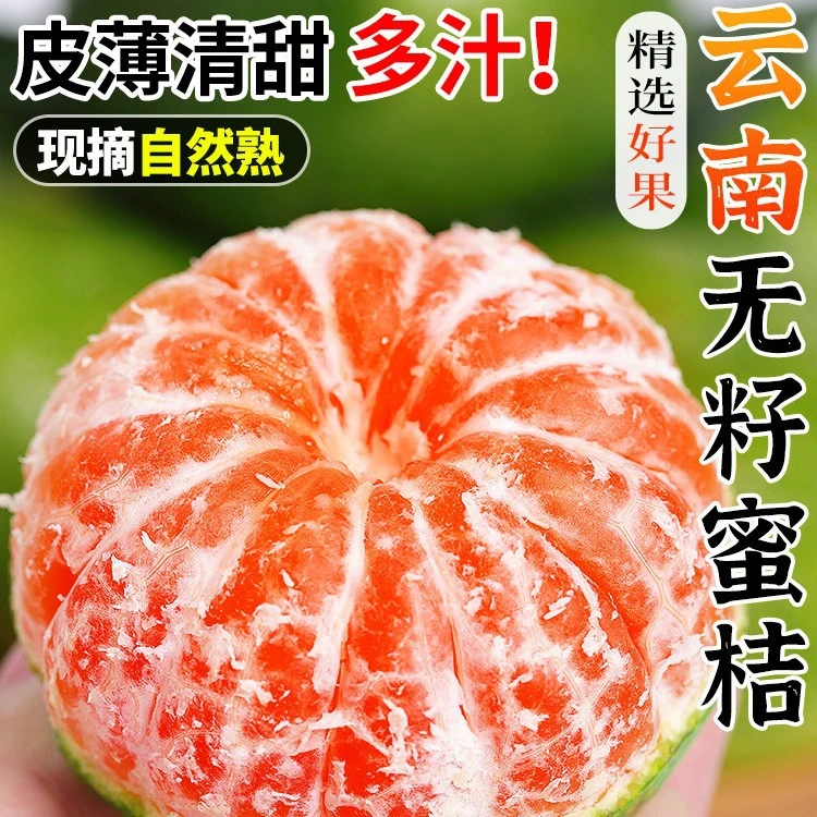 【全疆包邮】云南高山青皮蜜桔净重2公斤新鲜薄皮多汁当季应季水果