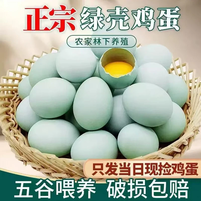［山货出山］农家散养走地五黑鸡蛋绿壳土鸡蛋跑山鸡五谷喂养柴鸡蛋