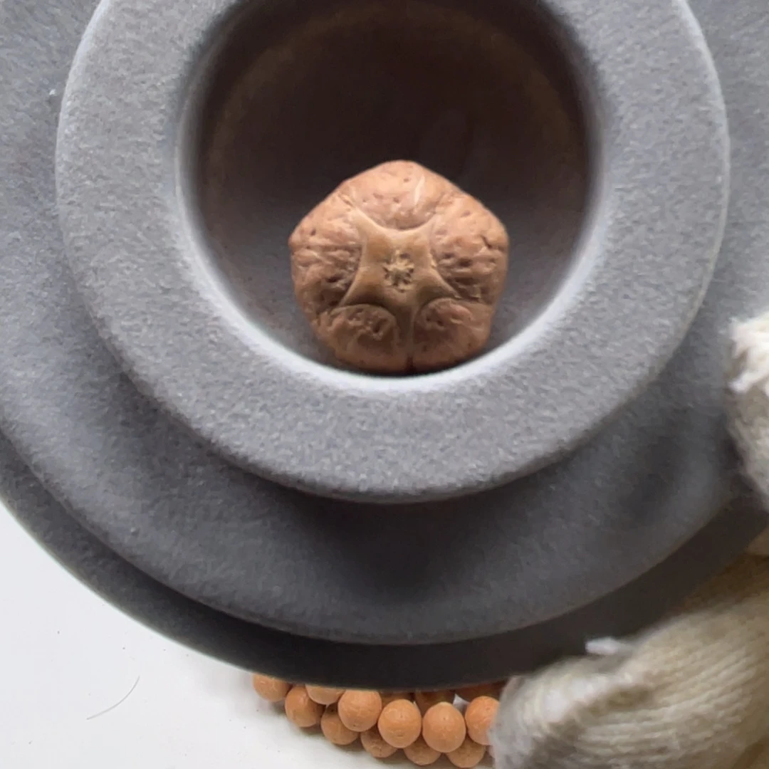 J***0凤眼菩提吊坠尼泊尔五星