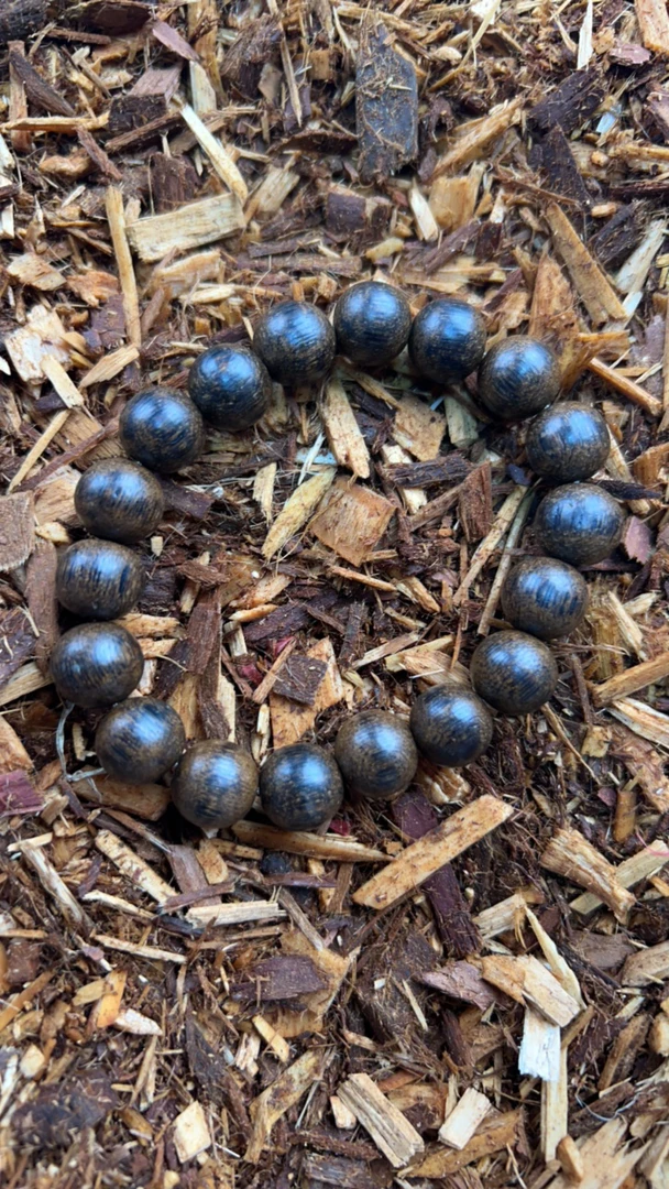a5福莱精选高端文玩