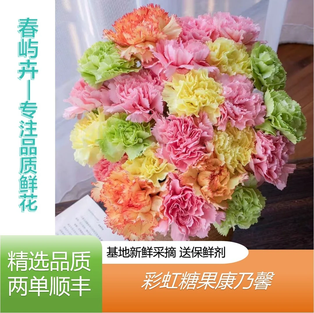 彩虹糖果康乃馨云南基地直发任意拍两单花顺丰鲜花直播间现场卖花