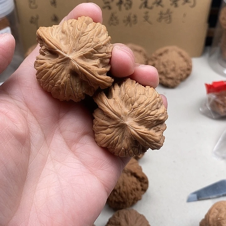 一***马木质类11.11.11.11.11