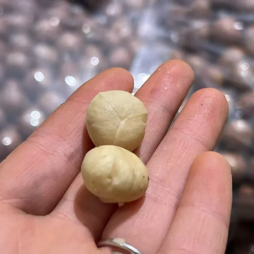 散装奶香夏威夷果一份500g