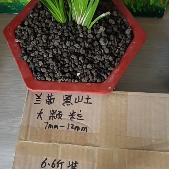 水***声兰菌黑山土大颗粒6.6斤