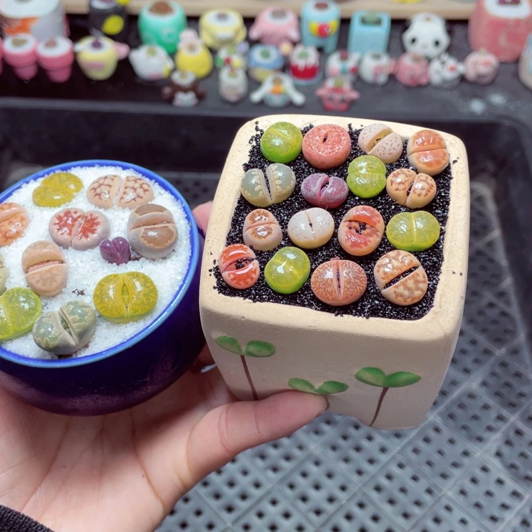 w3817 带盆土发货-零下地区拍保温箱