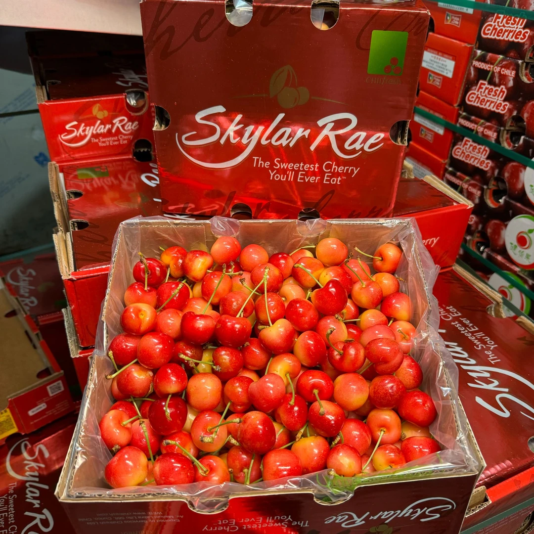 【乐鲜果园】智利空运斯凯拉雷2J金车进口樱桃 内附果径卡