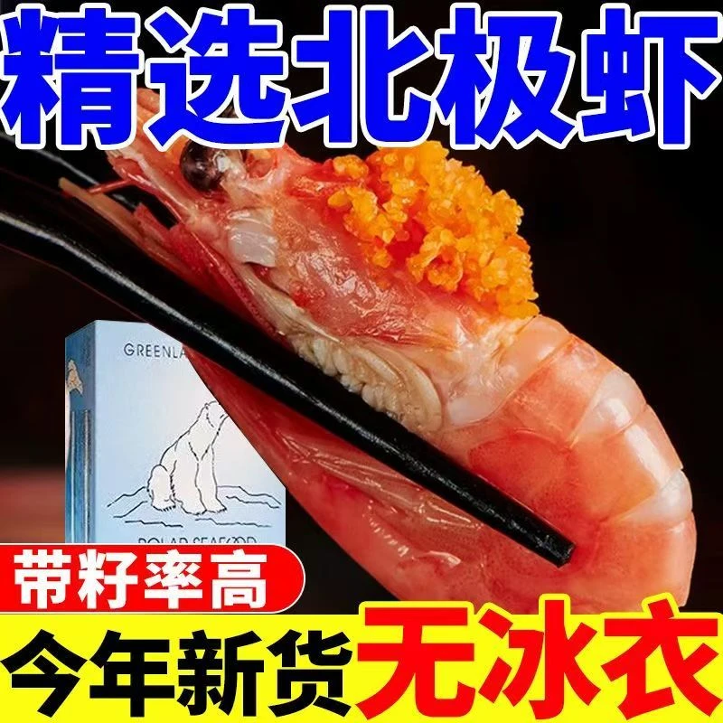 无黑头【北极熊】头籽北极甜虾90-120+/kg头籽深海冰虾净重三斤