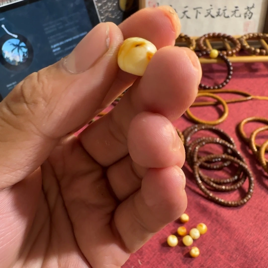 派***猫手串紫金鼠啦啦啦