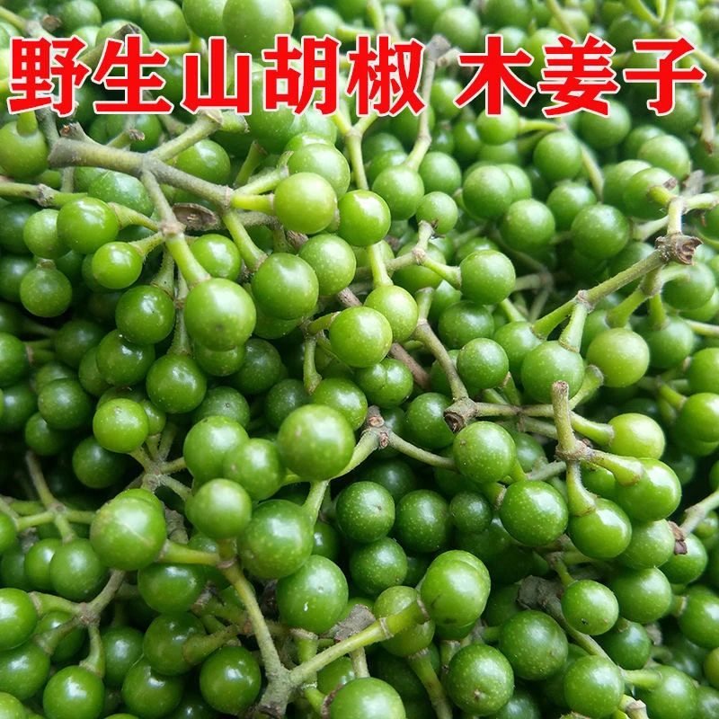 云南红河特产新鲜野生山胡椒山苍子山椒子木姜子木酱子随摘随发货