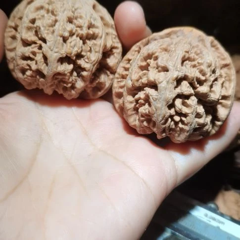 猴头核桃吊坠47粗筋