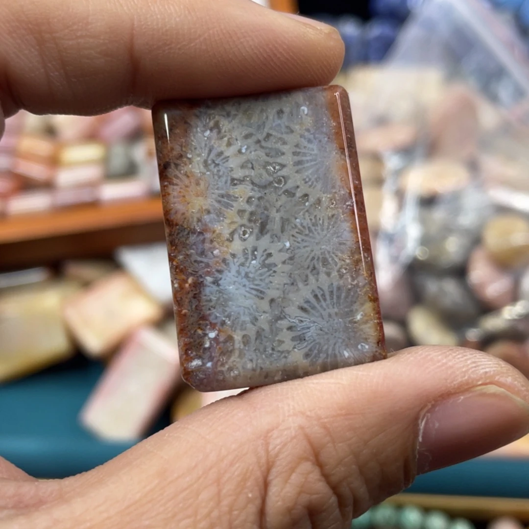 未镶嵌手镯硅化玉