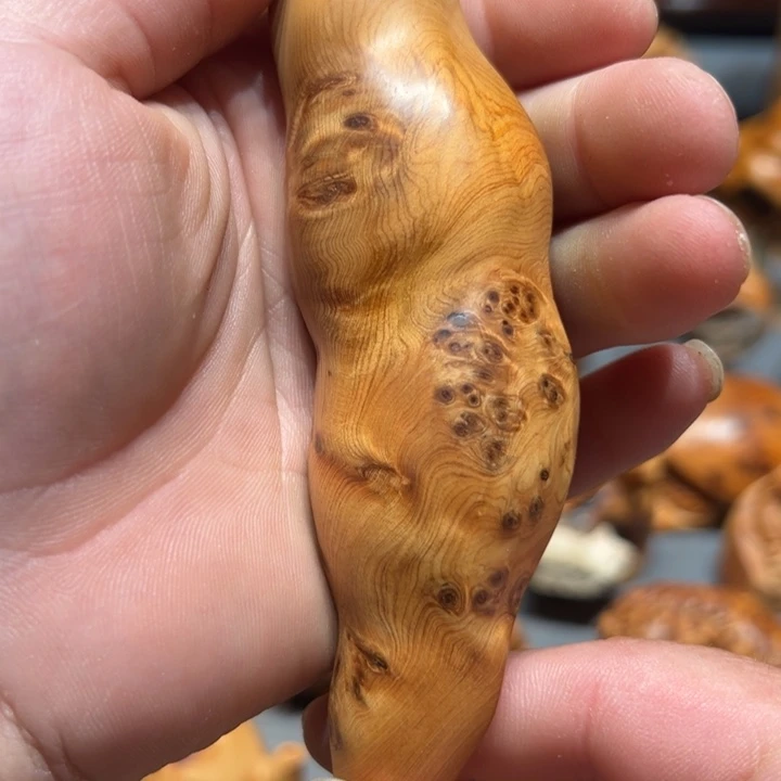 柏木（崖柏）点点关注