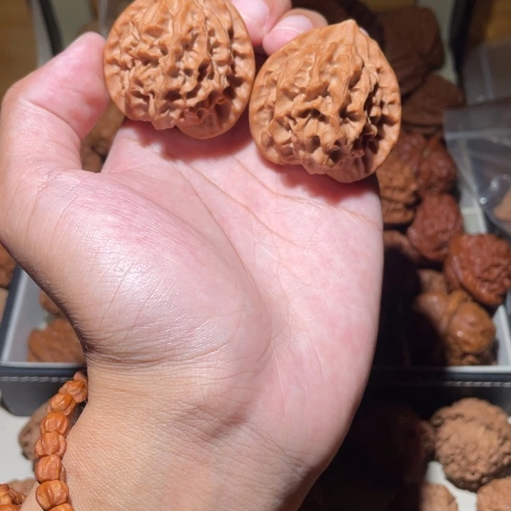 42尺寸全品无修龙麟