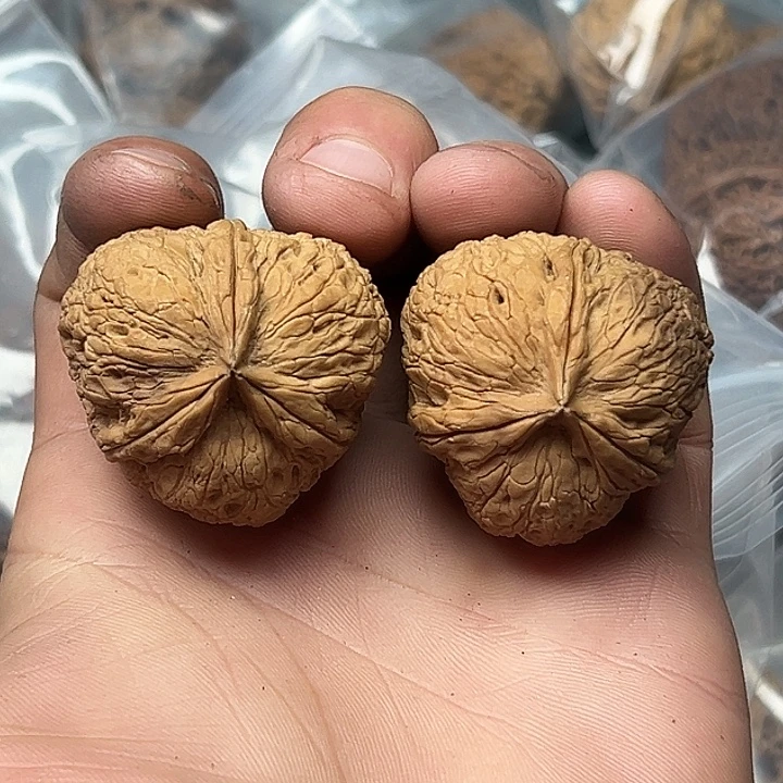 核桃51号三角楞36尺
