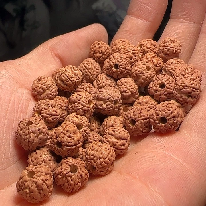 金刚菩提手串老树梅花9+微瑕100+