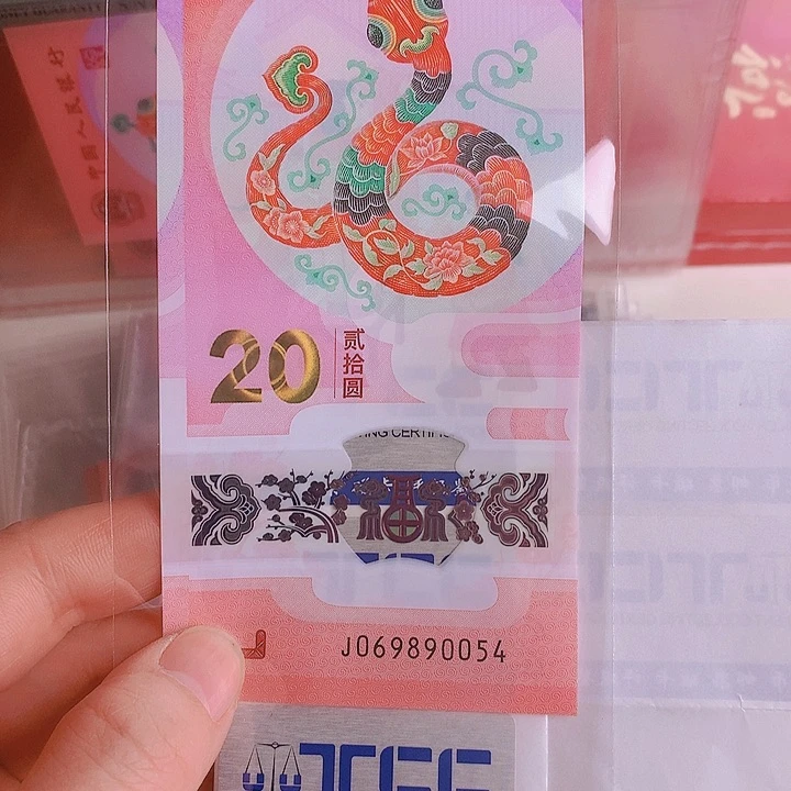 塑料2025蛇钞069890054