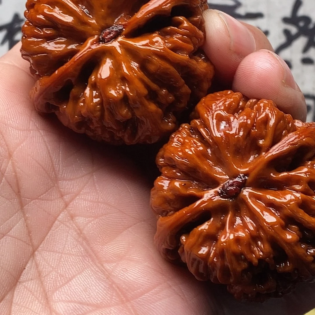 和****文玩核桃47大粗筋