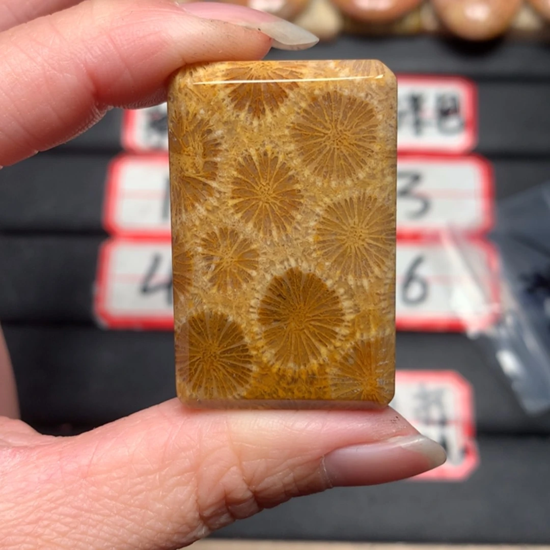 【闪购商品】硅化玉颈饰未镶嵌有****下