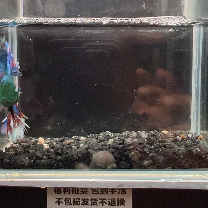 斗鱼竞拍跑单拉黑17日61