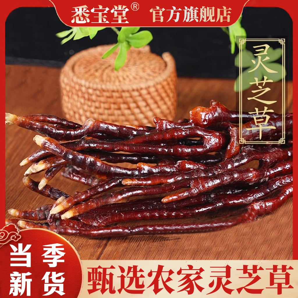 AAAA正品灵芝草农家干货整枝灵芝草煲汤炖鸡泡茶泡酒