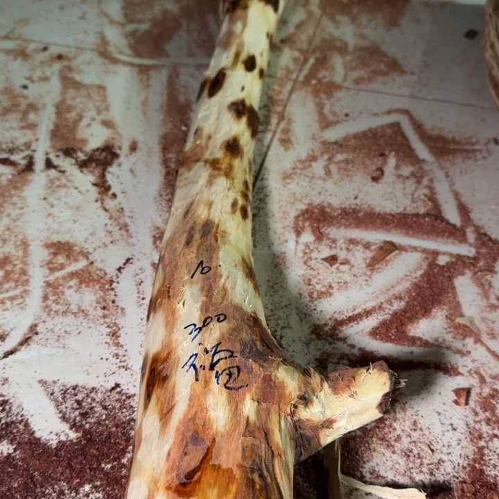 福***哥木海南，海北飞灰尘。甘受商于仪诳楚