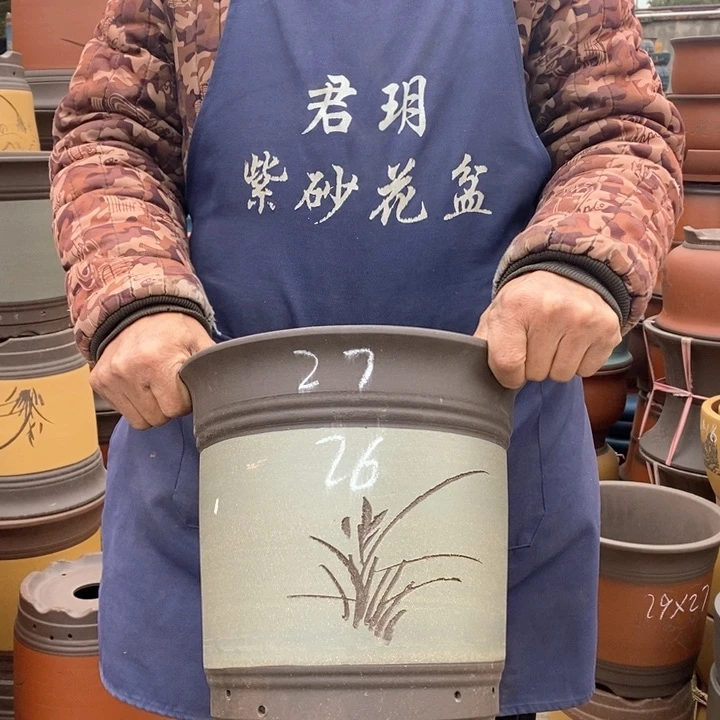 紫砂花盆盆栽花卉苗木种植