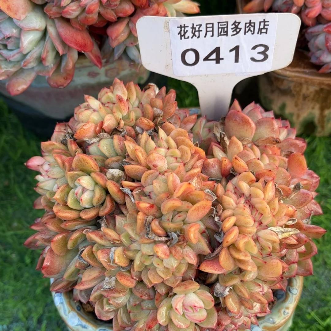 沐***淋0413 满30包邮天冷地区必拍保温箱