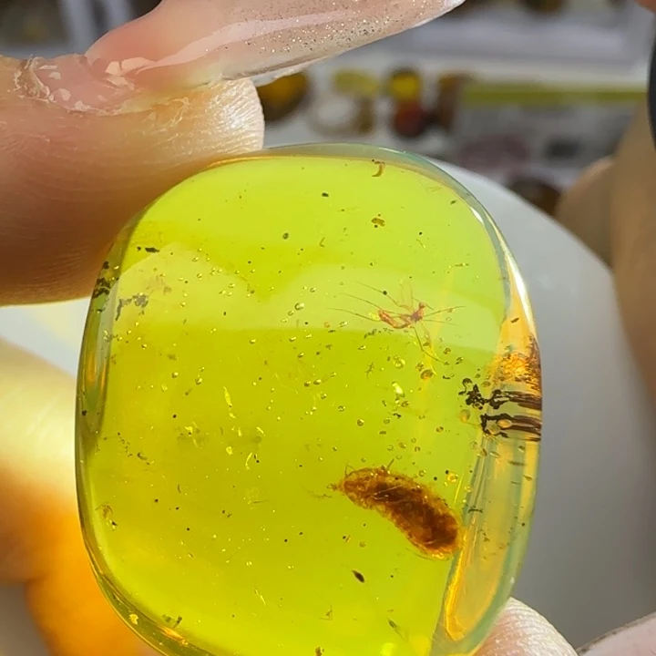 琥珀未镶嵌裸石虫珀标本