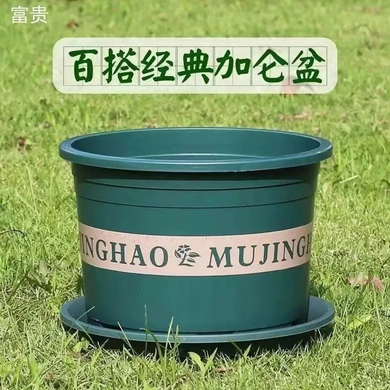 花盆加仑盆塑料花盆花盆月季花盆阳台客厅专用花盆特大号花盆