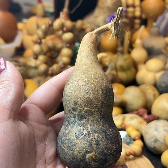 立*葫芦葫芦葫芦葫芦