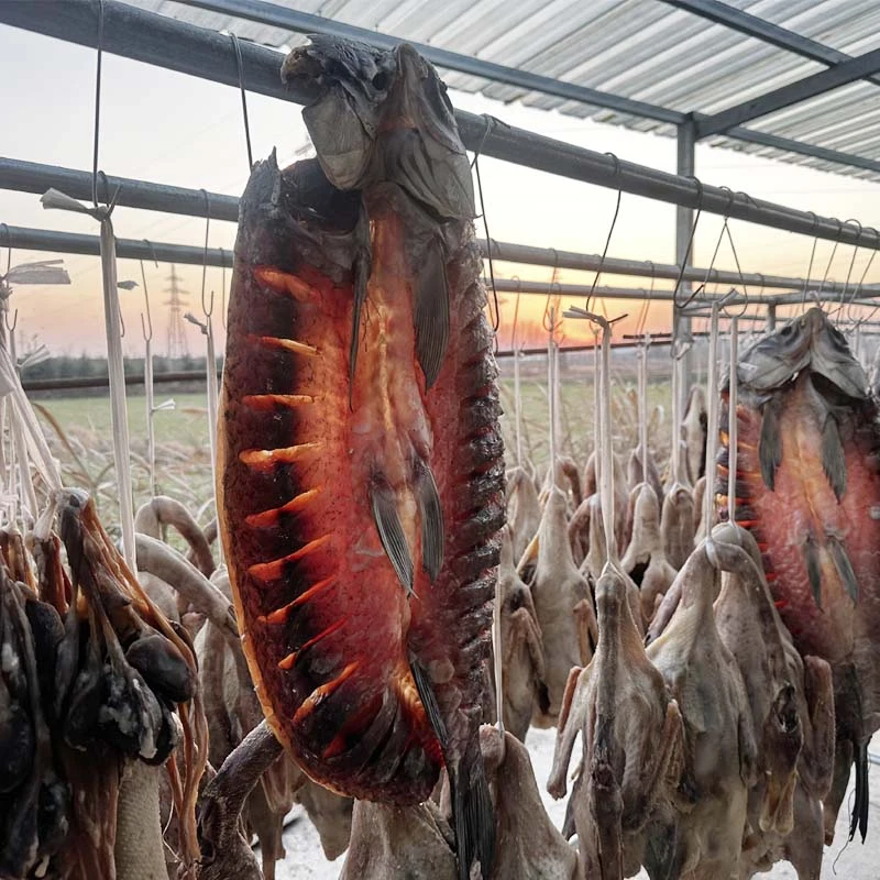 长丰咸鱼腊鱼手工腌制草混鱼咸鱼低盐腌制