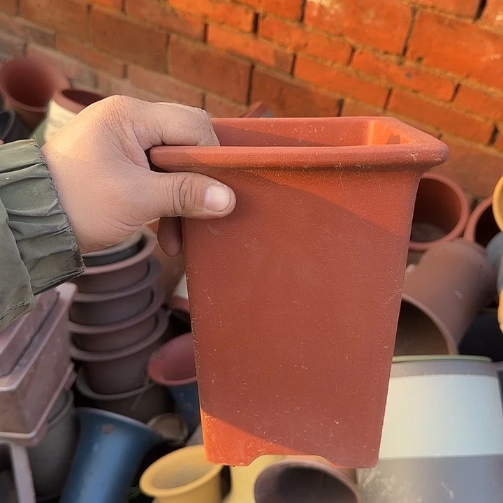 这就是为什么不可以说呢啊喂你真的有这么一