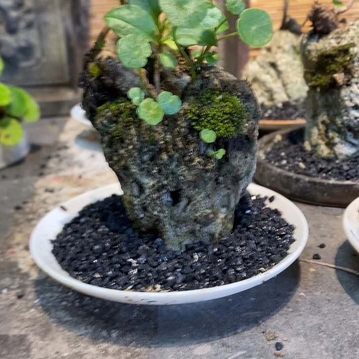 C***呀退款拉黑一物一拍194