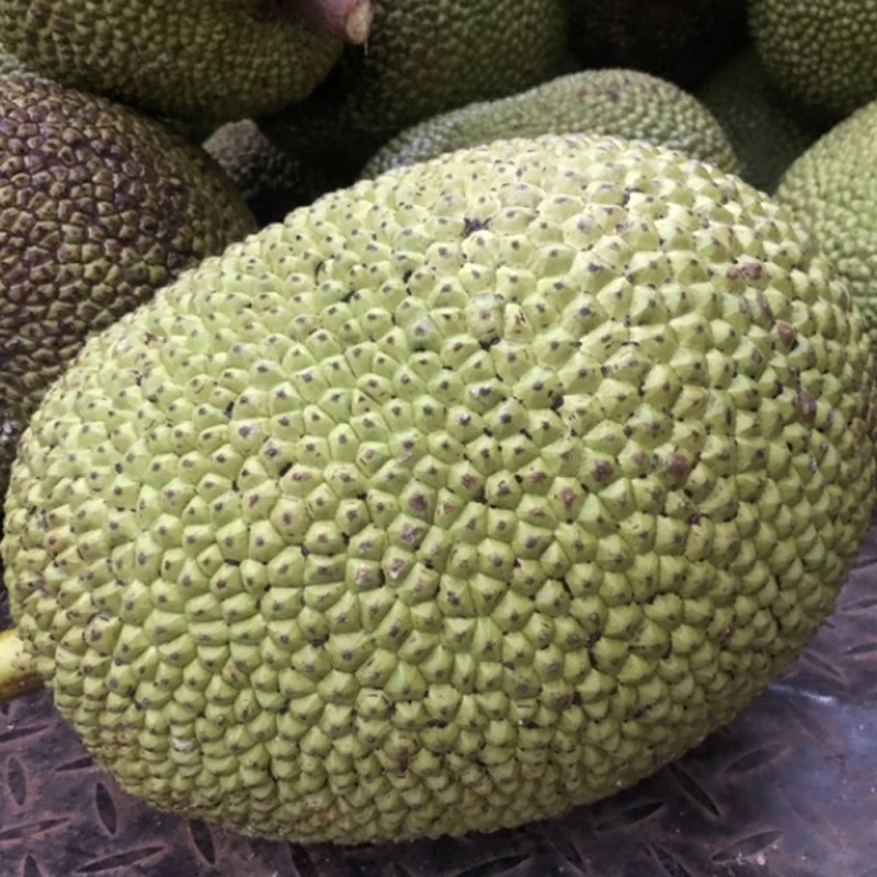 印尼红肉菠萝蜜300g【长春同城小时达】