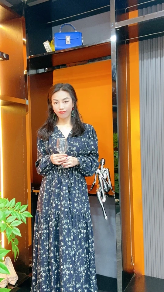 气质显瘦简约大气优雅女士连衣裙