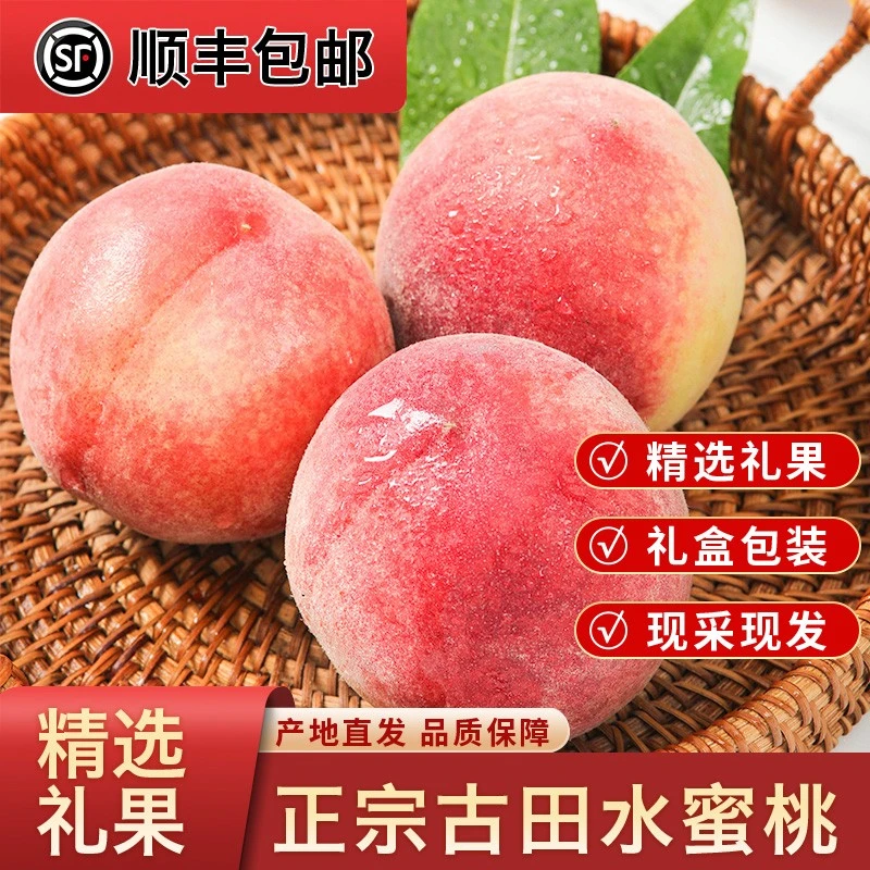 甄选正宗古田特产白凤水蜜桃礼盒装