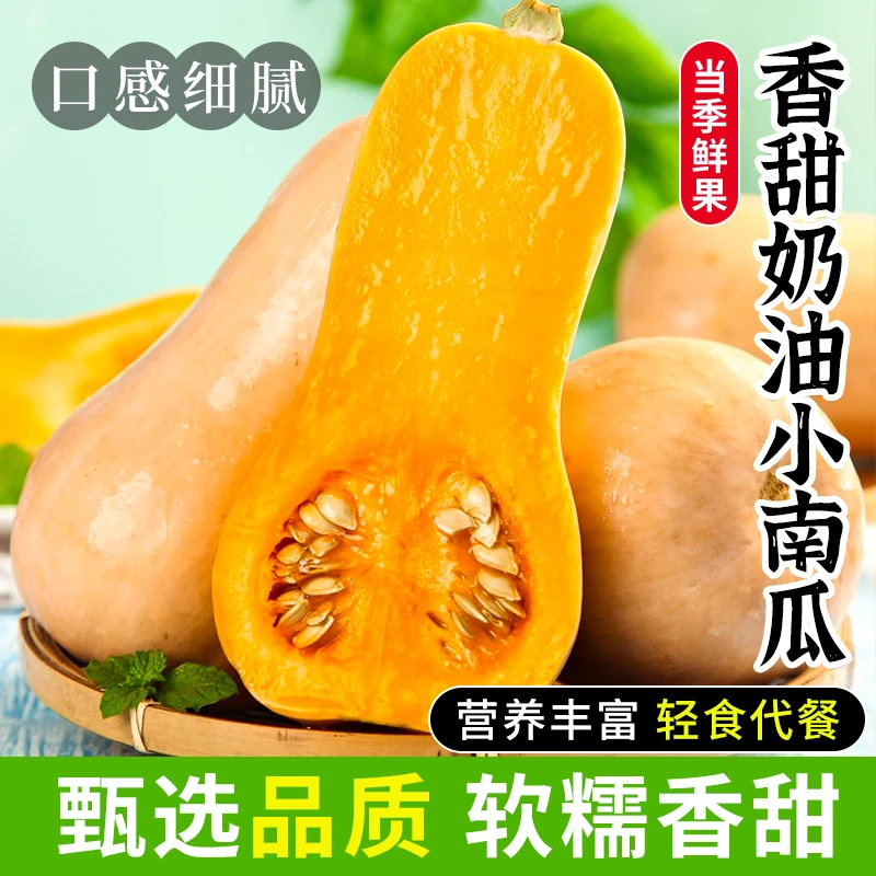 奶油南瓜软糯香甜牛奶南瓜可做宝宝辅食应季新鲜蔬菜